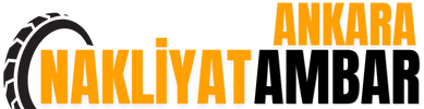Bursa Boyabat Ambar